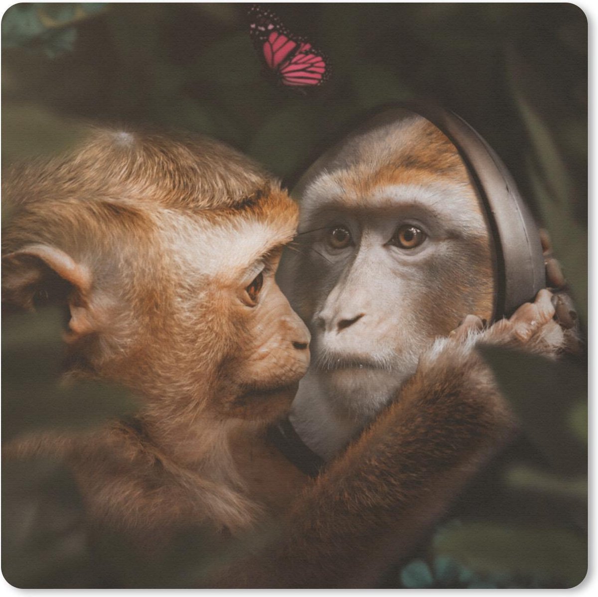 Muismat 20x20 cm - Mousepad Dieren - Apen - Natuur - Muismatten