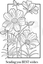 Stempel - Creative Expressions - Woodware - Clear stamp set - Cosmos collectionStempel - Creative Expressions - Woodware - Clear stamp set - Cosmos collection