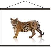 Tigre debout avec reflet sur fond blanc affiche textielposter lattes noires 40x30 cm - petit