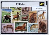 Veulens – Luxe postzegel pakket (A6 formaat) : collectie van verschillende postzegels dieren van de veulens – kan als ansichtkaart in een A6 envelop - authentiek cadeau - kado - ge