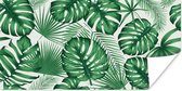 Affiche Tropical - Jungle - Feuilles - 120x60 cm