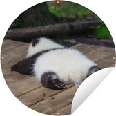 Tuincirkel Panda - Hout - Dieren - 90x90 cm - Ronde Tuinposter - Buiten