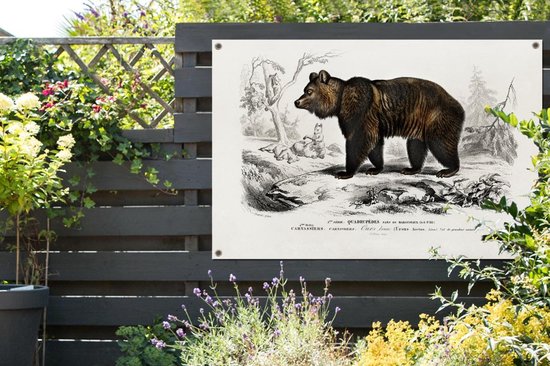 Affiche jardin - Toile jardin - Posters de jardin extérieur - Ours - Vintage - Animal - 120x80 cm - Jardin