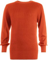 NED Trui Sahara Ls 21w1u10614 Apricot Orange Dames Maat - M