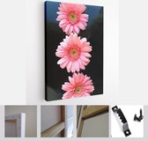 Three beautiful pink daisy flowers Vertical in a row. In a studio photograph On a black background - Modern Art Canvas - Vertical - 1313296763 - 115*75 Vertical