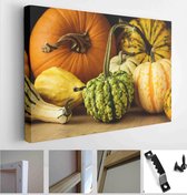 Variety of edible and decorative gourds and pumpkins. Autumn composition of different squash types on wooden table - Modern Art Canvas - Horizontal - 1824066590 - 115*75 Horizontal
