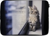 Laptophoes 14 inch - Een Perzische kitten kijkt uit het raam - Laptop sleeve - Binnenmaat 34x23,5 cm - Zwarte achterkant