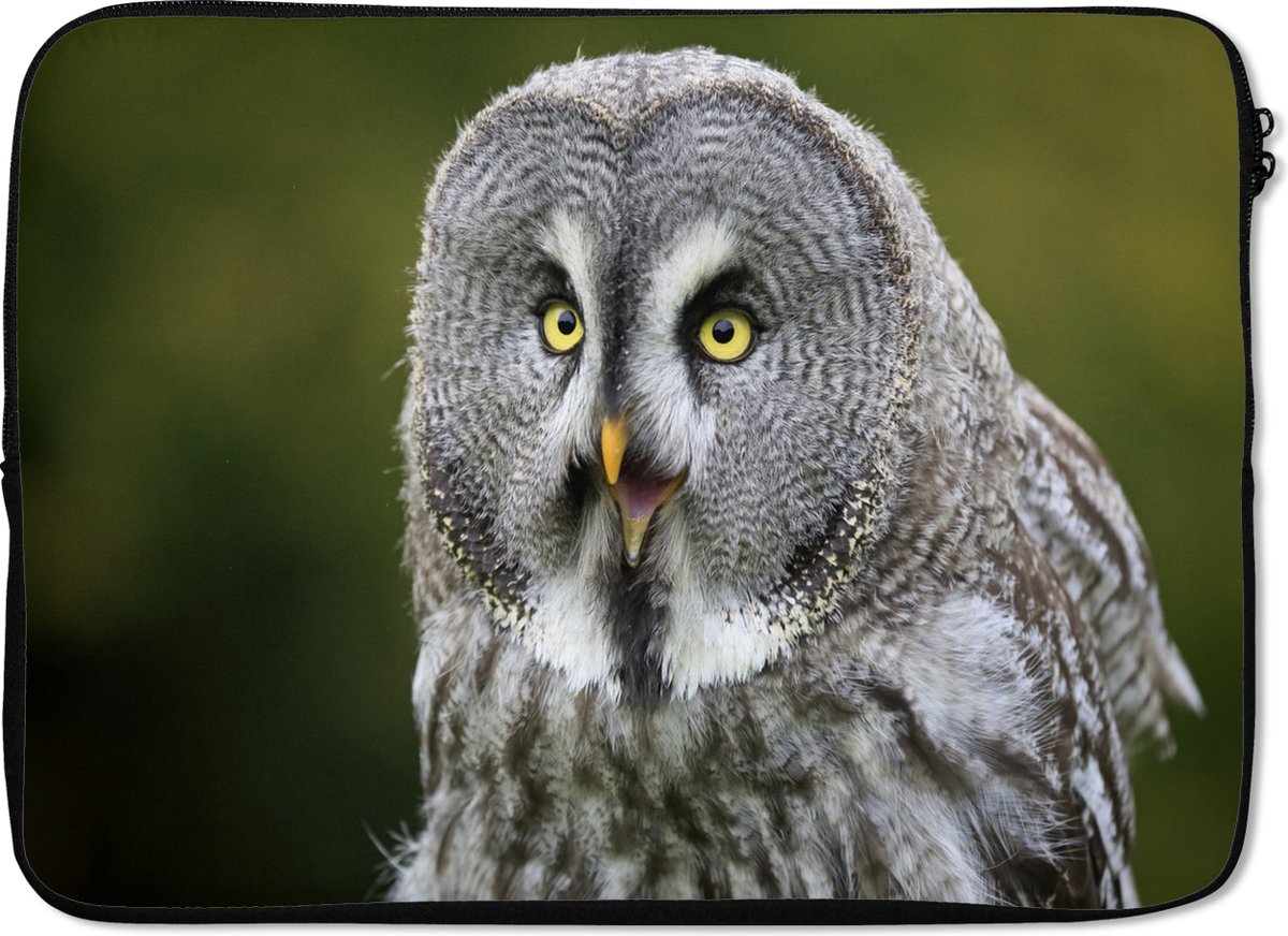 Laptophoes 14 inch - Vogel - Uil - Grijs - Laptop sleeve - Binnenmaat 33x23 cm - Zwarte achterkant