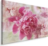 Schilderij - Prachtige roze rozen, eyecatcher in uw huis, wanddecoratie