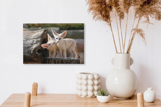 Deux adorables renards Fennec sur un tronc d'arbre Toile 30x20 cm - petit - Tirage photo sur Toile peinture (Décoration murale salon / chambre) / Animaux sauvages Peintures sur toile