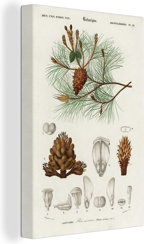 Tableau Toile Arbre - Vintage - Graines - 90x140 cm - Décoration murale