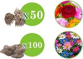 150x Ranonkel en anemoon - Mix 'Zonnige Voorjaarsbloeiers' - 150 bollen
