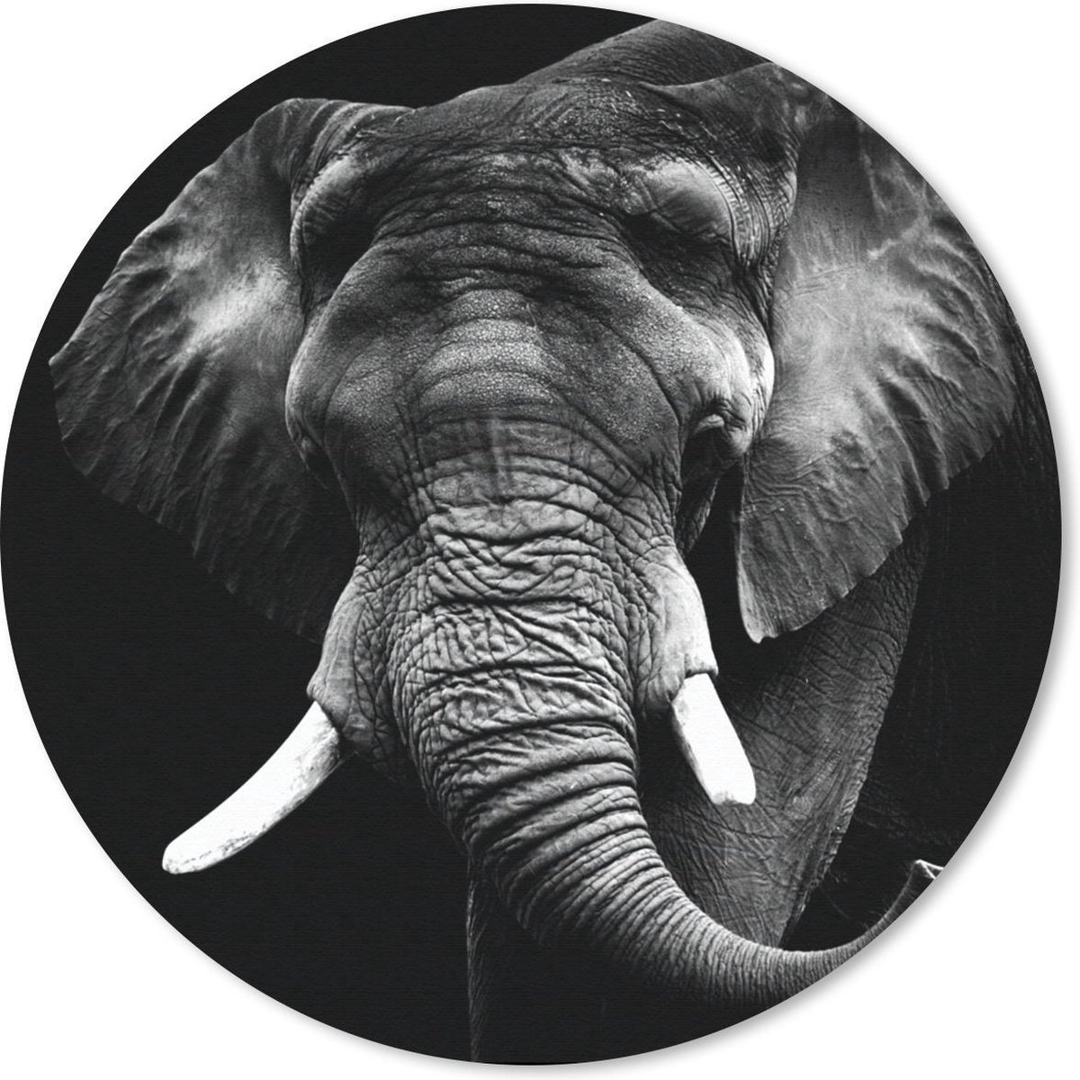 Muismat rond 40x40 cm - Mousepad Olifant - Tanden - Zwart - Wit - Ronde muismatten
