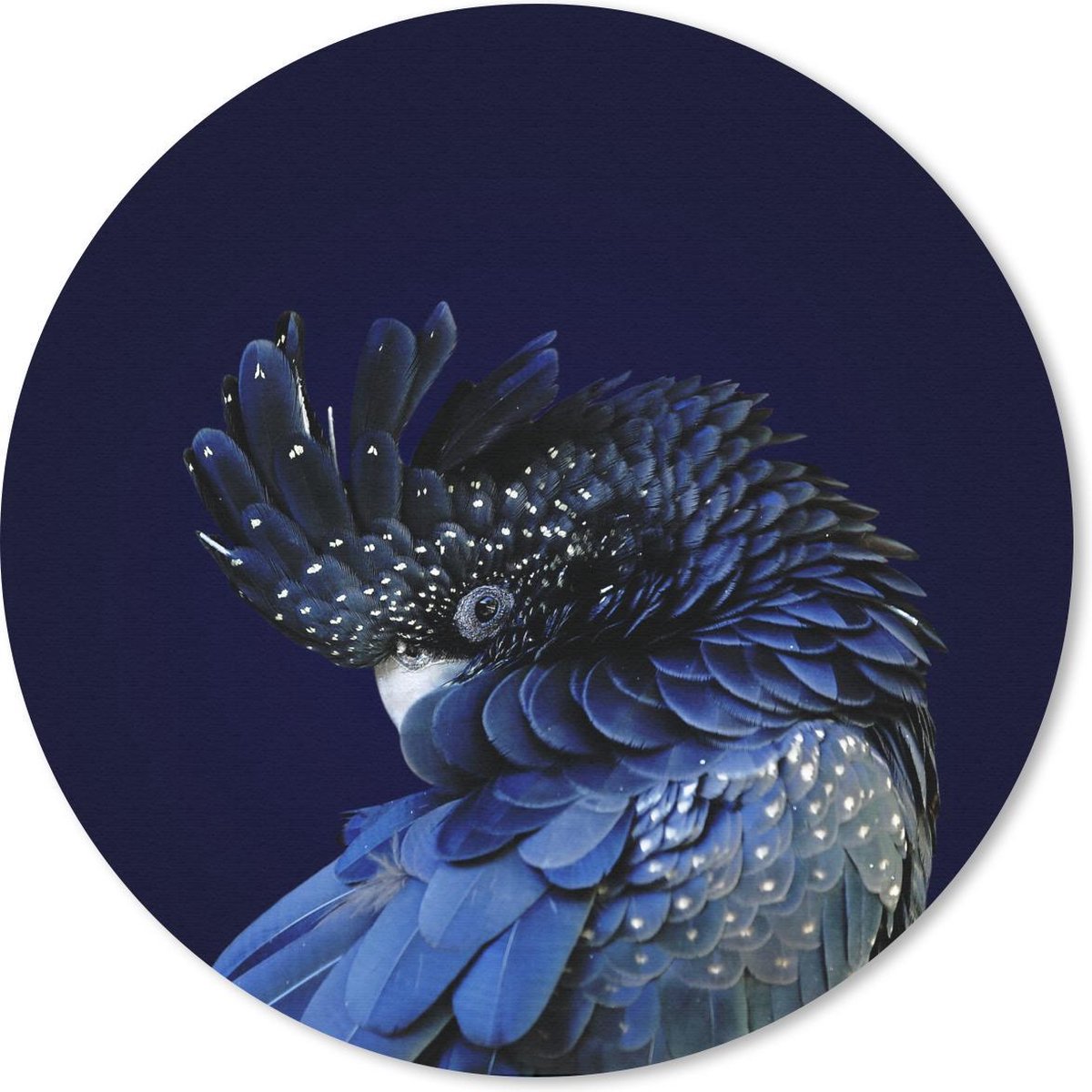 Muismat rond 50x50 cm - Mousepad Close-up roodstaartraafkaketoe - Ronde muismatten