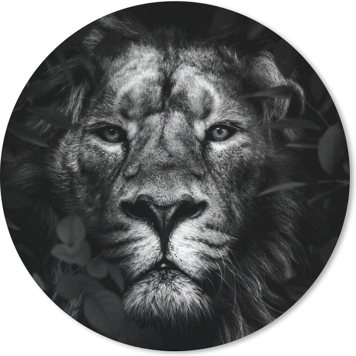 Muismat rond 40x40 cm - Mousepad Planten - Leeuw - Jungle - Zwart - Wit - Ronde muismatten