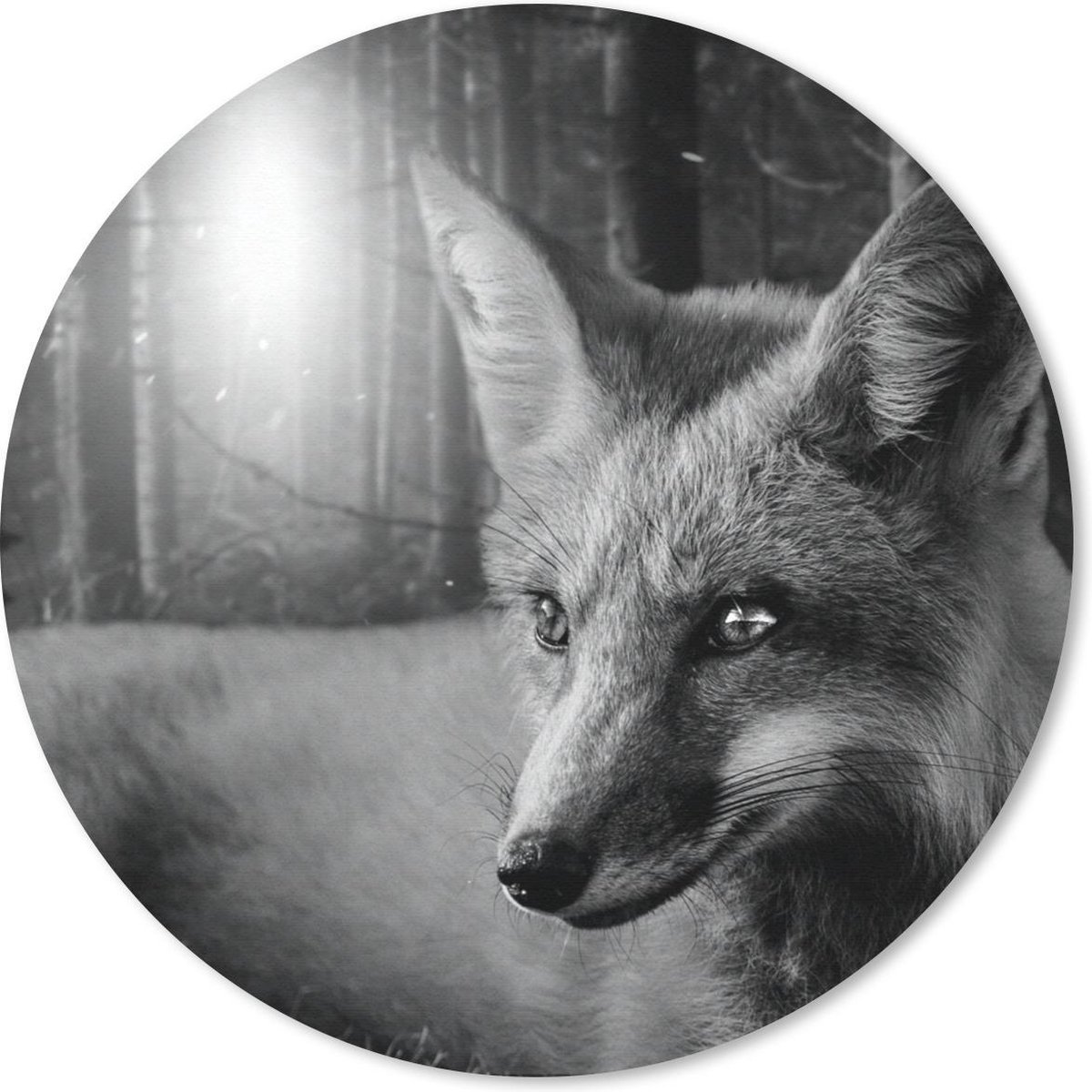 Muismat rond 50x50 cm - Mousepad Dieren - Vos - Bos - Zwart - Wit - Ronde muismatten