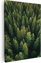 Artaza Canvas Schilderij Bos Met Bomen Vanaf Boven - 40x50 - Foto Op Canvas - Canvas Print