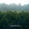 And Also The Trees - And Also The Trees (2 CD)