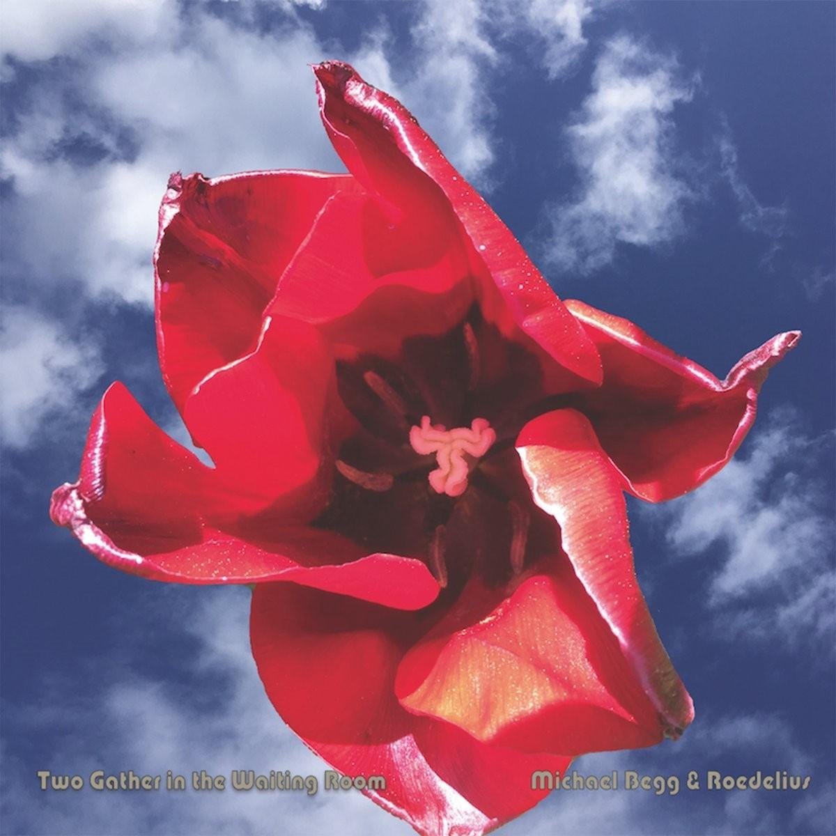 Michael Begg & Hans-Joachim Roedelius - Two Gather In The Waiting Room (CD)