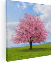Artaza Canvas Schilderij Roze Sakura Bloesem Boom In Het Groene Veld - 70x70 - Foto Op Canvas - Canvas Print
