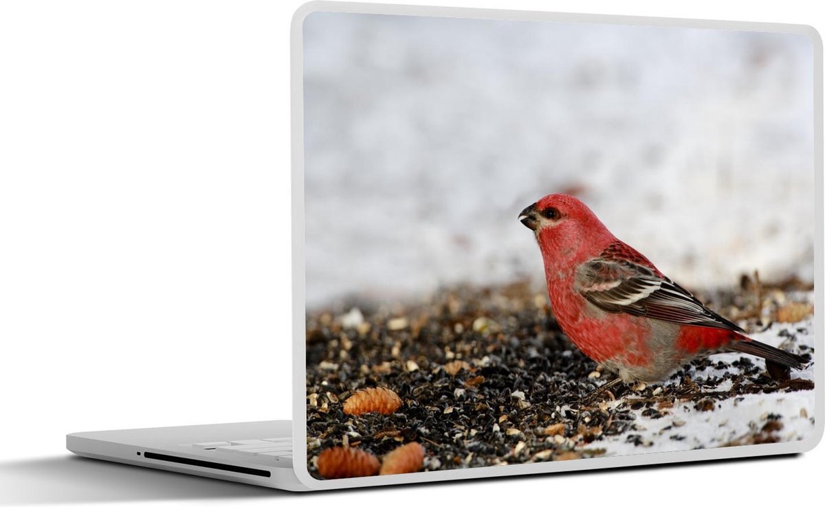 Afbeelding van product SleevesAndCases  Laptop sticker - 15.6 inch - Een rode haakbek op de grond