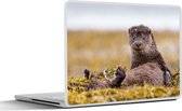 Laptop sticker - 15.6 inch - Schotse Otter - 36x27,5cm - Laptopstickers - Laptop skin - Cover