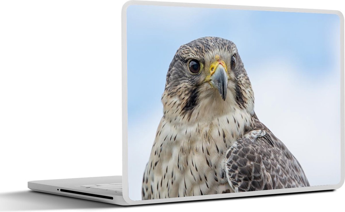 Afbeelding van product SleevesAndCases  Laptop sticker - 11.6 inch - Sakervalk - Portret - Roofvogel