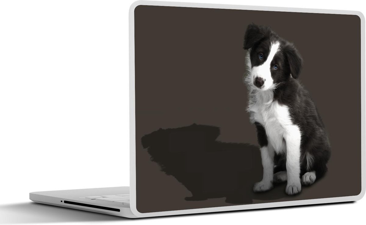 Afbeelding van product SleevesAndCases  Laptop sticker - 12.3 inch - Border collie puppy met vragende blik