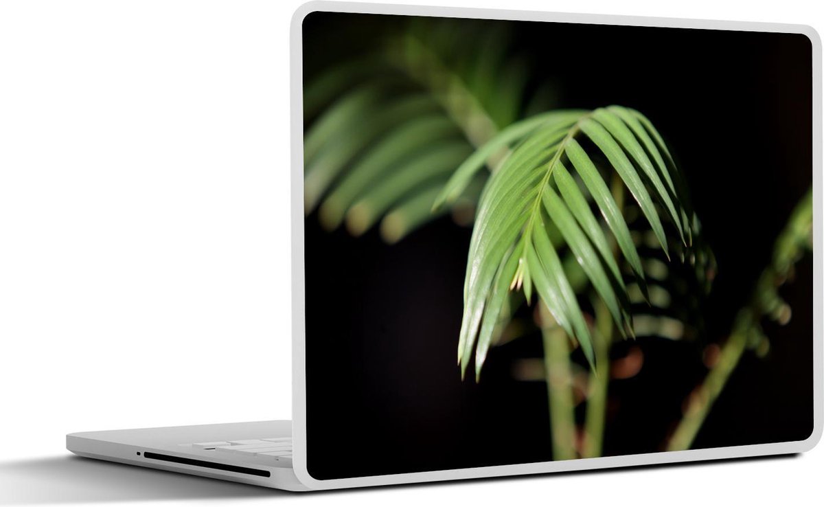Afbeelding van product SleevesAndCases  Laptop sticker - 11.6 inch - Sago blad zwarte achtergrond