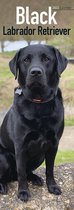 Black Labrador Retriever 2022 Slimline