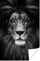 Poster Wilde dieren - Portret - Kleur - 60x90 cm