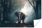 Poster Olifant - Bos - Zon - 90x60 cm