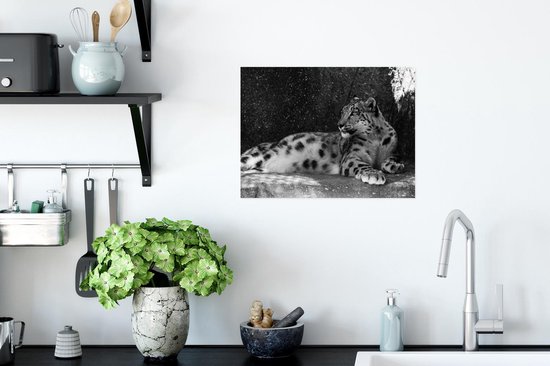 Affiche Panthère - Zwart - Wit - 40x30 cm