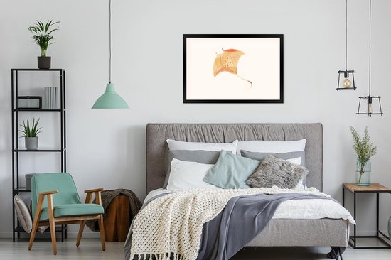 Cadre photo avec affiche - Raie - Poisson - Aquarelle - 120x80 cm - Cadre pour affiche