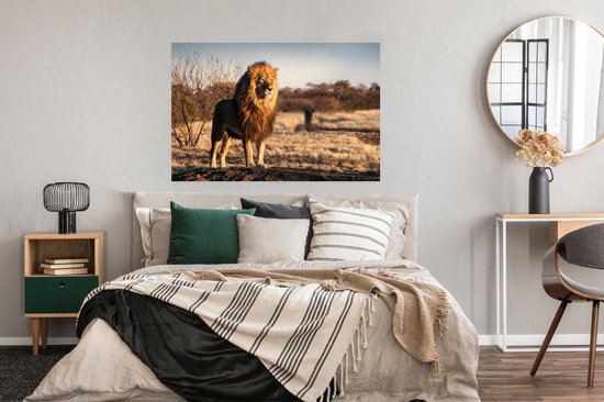 Affiche Lion - Colline - Soleil - 120x80 cm