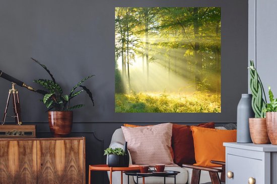 Stickers muraux - Forêt - Lumière - Printemps - 100x100 cm - Film Adhésif XXL