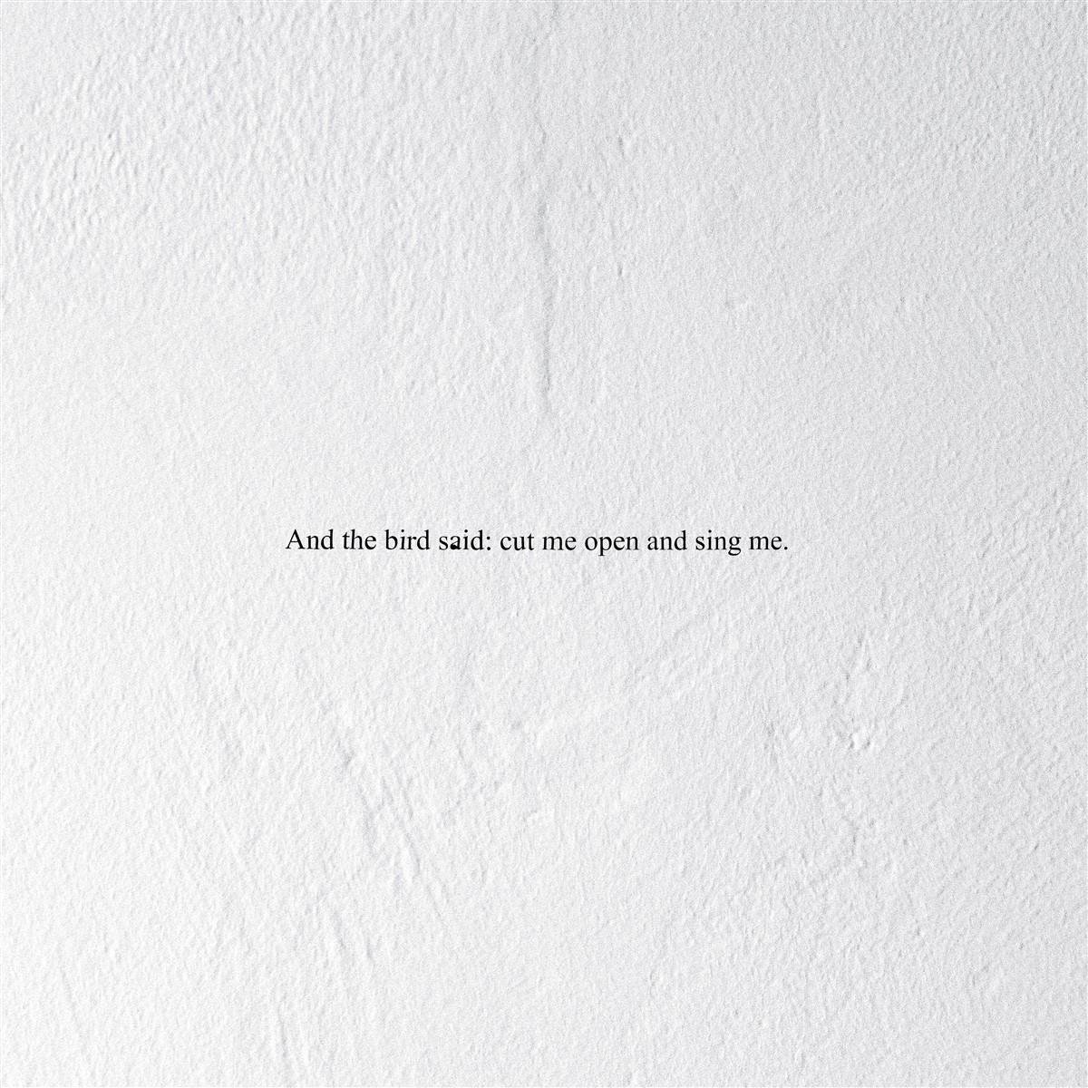Prairie - And The Bird Said: Cut Me Open And Sing Me (CD)