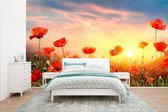 Papier peint - Papiers Papier peint photo Coquelicots - Printemps - Couleurs - Largeur 435 cm x Hauteur 260 cm