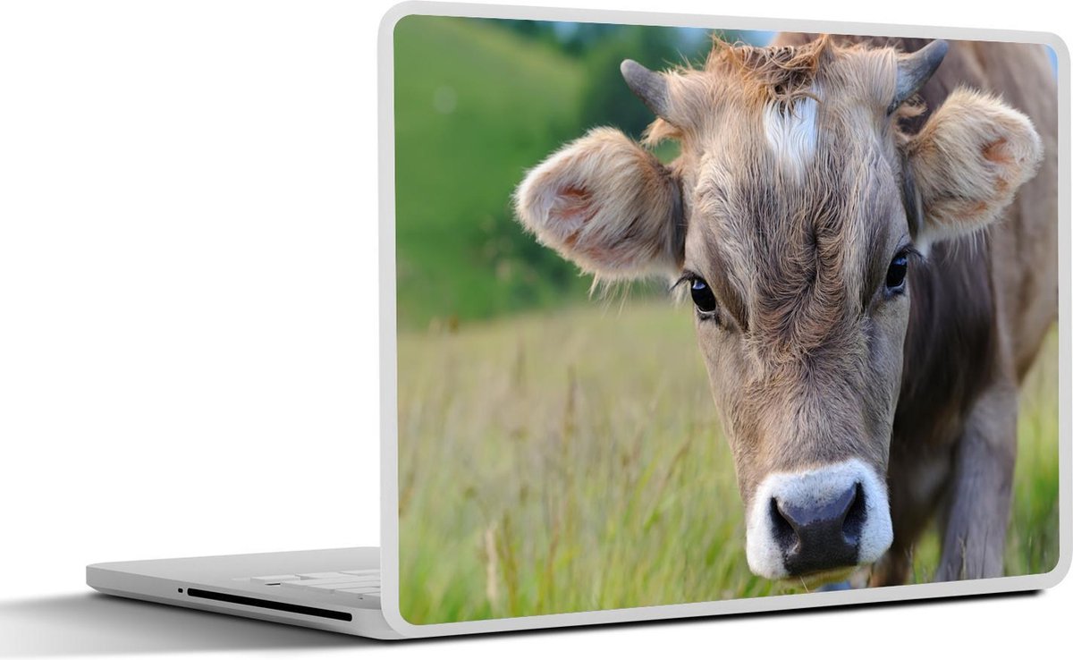 Laptop sticker - 13.3 inch - Koe - Hoorn - Landschap - 31x22,5cm - Laptopstickers - Laptop skin - Cover