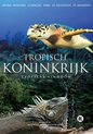 Tropische Koninkrijk (DVD)