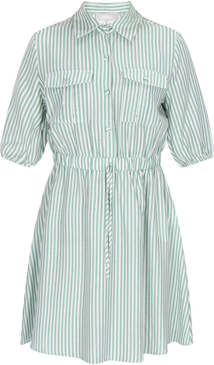 usha Dress