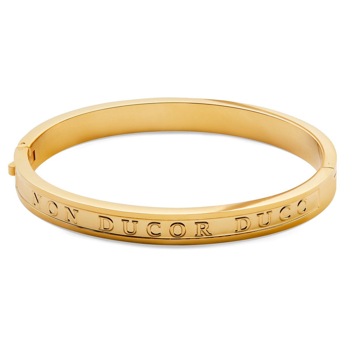 Arie Goudkleurige Duco Bangle-armband