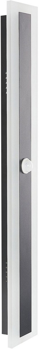 SAVANE - Wandlamp - Zwart - 80 cm - Staal