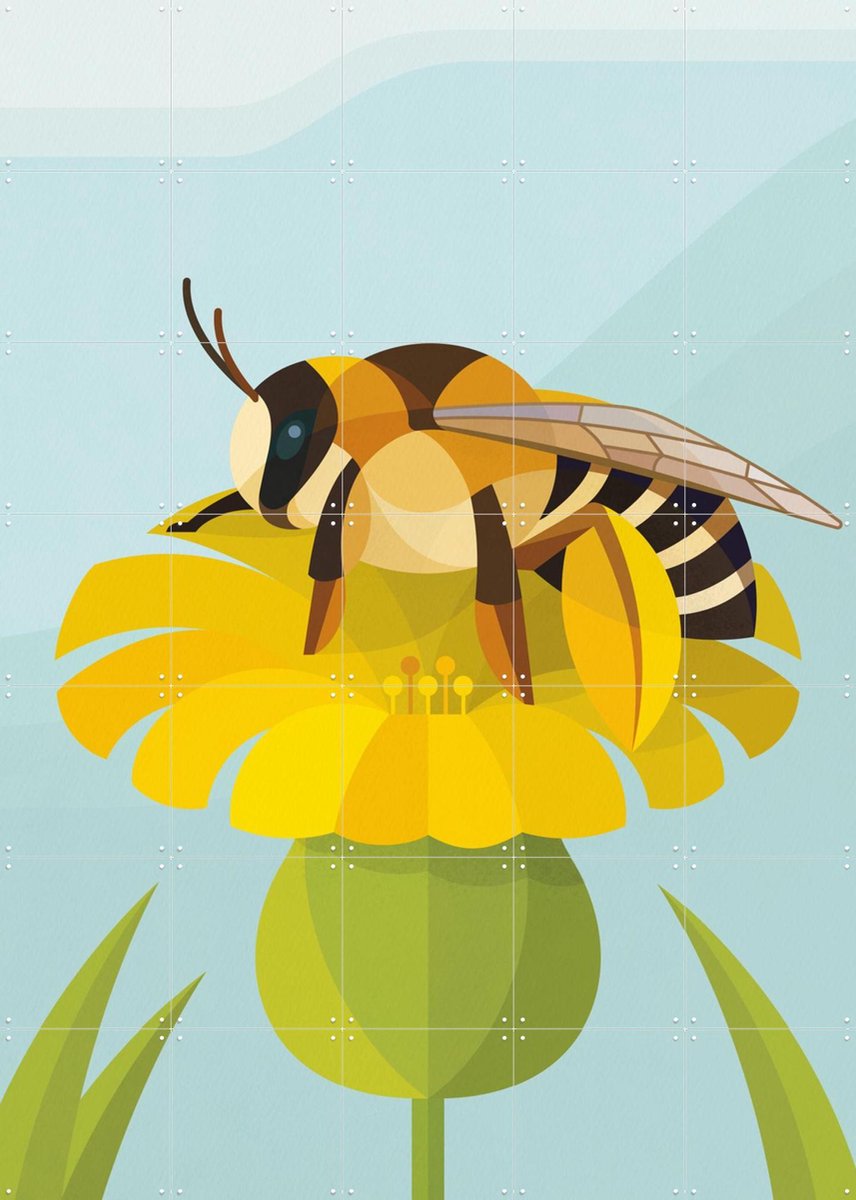 IXXI Pluimvoetbij, Elke Uijtewaal - 100 x 140 cm - Gratis ophangtool - Grote wanddecoratie en posters - Illustraties, Kleurrijk, Grafisch Ontwerp,