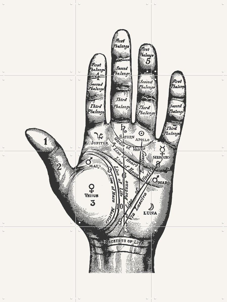 IXXI Palmistry, Aster Edition - 60 x 80 cm - Gratis ophangtool - Grote wanddecoratie en posters - Technische Tekening, Houtsnede, Illustraties