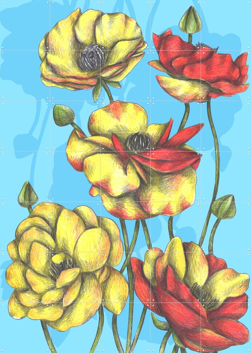 IXXI Buttercups, Cecilia Battaini - 100 x 140 cm - Gratis ophangtool - Grote wanddecoratie en posters - Tekeningen, Illustraties, Slaapkamer