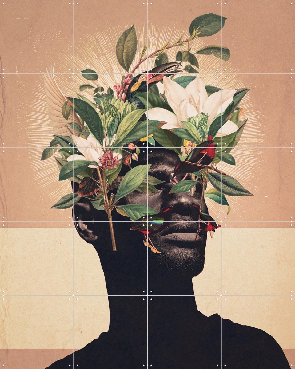 IXXI Birds are my real Origin, Frank Moth - 80 x 100 cm - Gratis ophangtool - Grote wanddecoratie en posters - Surrealisme, Digitale Kunst, Collage