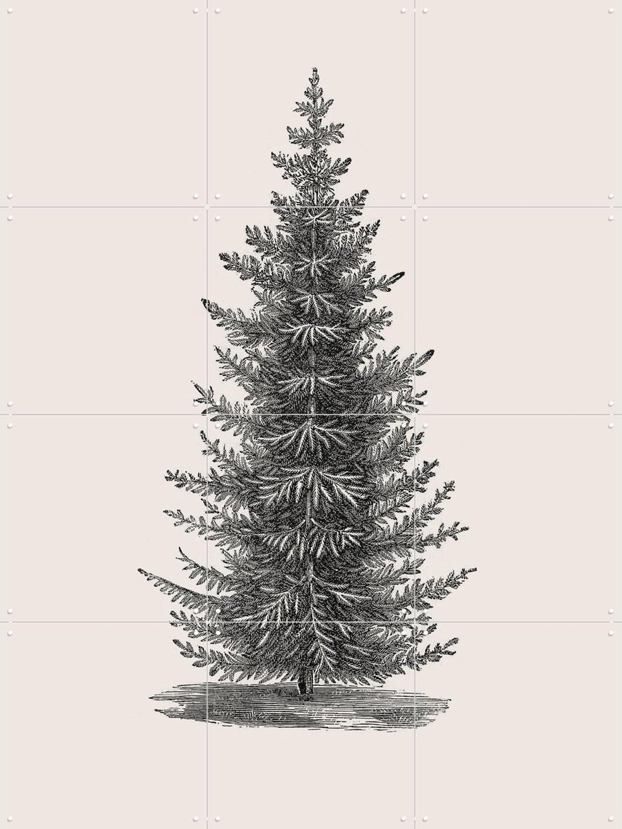 IXXI Forest Tree light, IXXI - 60 x 80 cm - Gratis ophangtool - Grote wanddecoratie en posters - Naturalisme, Vintage, Illustraties, Woonkamer