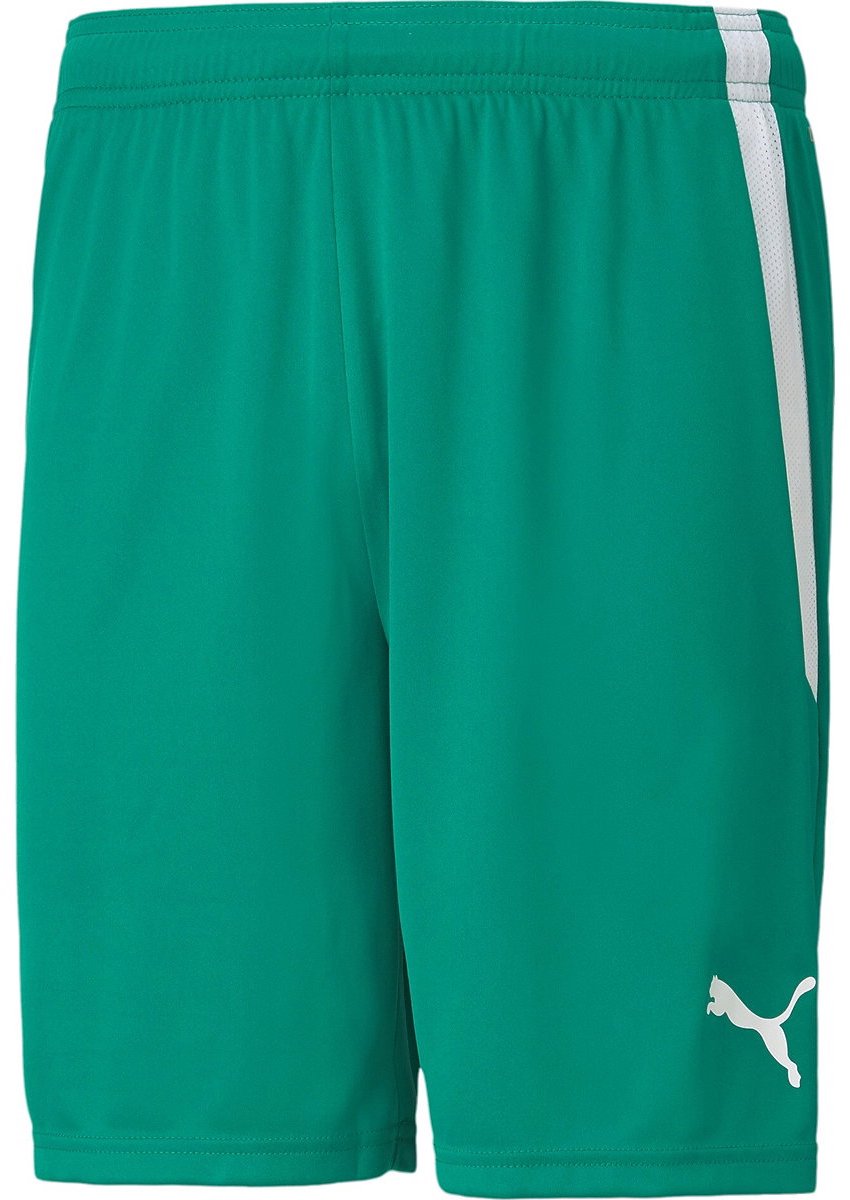 teamLIGA Short Junior Sportbroek Unisex - Maat 164
