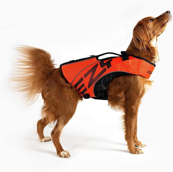 Gouden retriever hond staat in een feloranje zwemvest met zwarte accenten op een witte achtergrond.